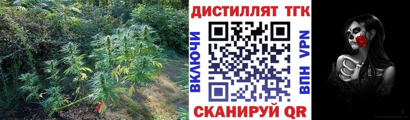 Дистиллят ТГК THC oil  Озёры 