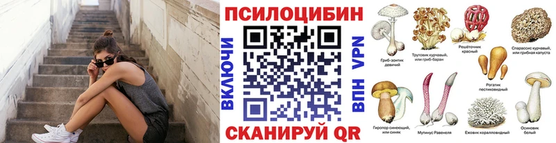 закладки  Озёры  Псилоцибиновые грибы Magic Shrooms 